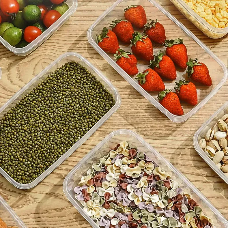 Why Reusable Food Storage Containers Are Growing Fast in Global Wholesale Markets